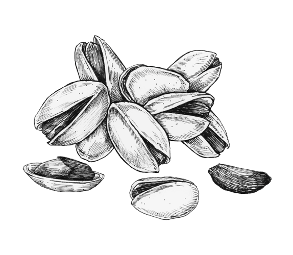 Turcanuts